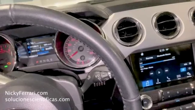 שרתת עם ציצים גדולים מתרגלת - 11 דקות